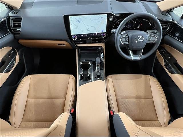 TOYOTA LEXUS NX250 2025 Image 31