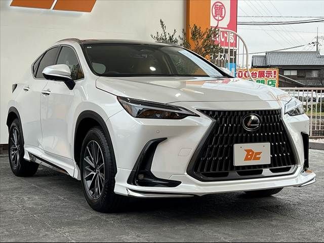 TOYOTA LEXUS NX250 2025 Image 31