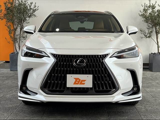 TOYOTA LEXUS NX250 2025 Image 31