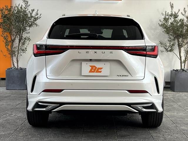 TOYOTA LEXUS NX250 2025 Image 31