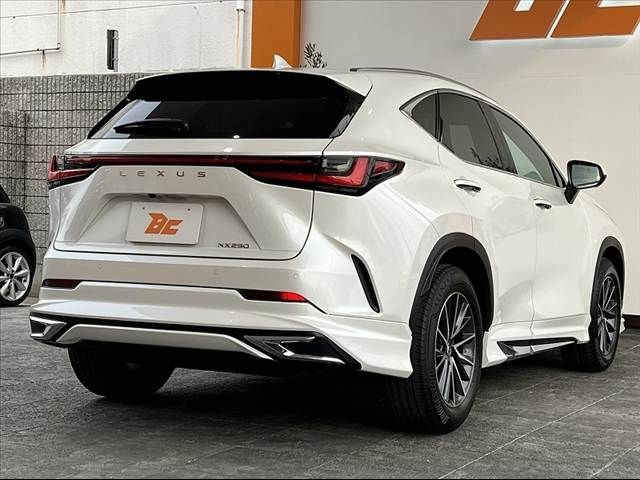 TOYOTA LEXUS NX250 2025 Image 31