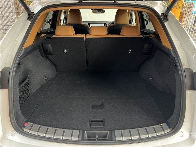 TOYOTA LEXUS NX250 2025 Image 31
