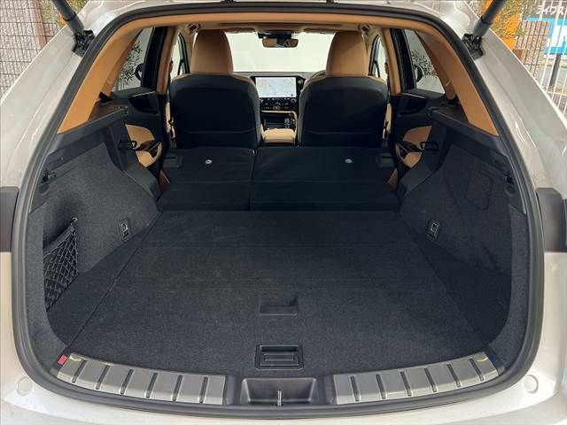 TOYOTA LEXUS NX250 2025 Image 31