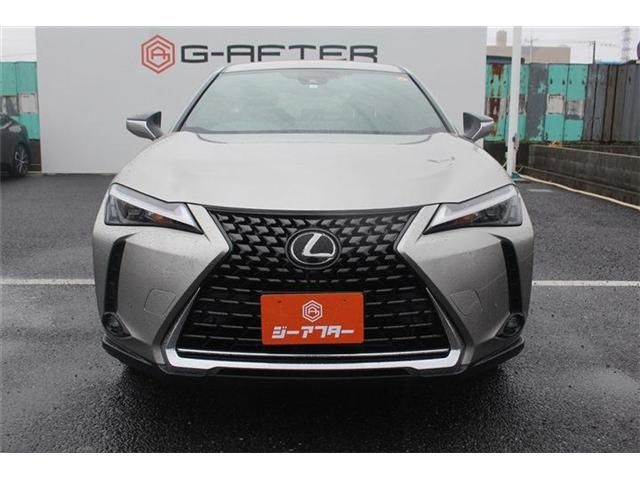 TOYOTA LEXUS UX250H 2023 Image 31