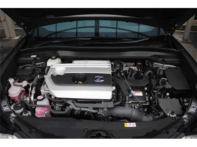 TOYOTA LEXUS UX250H 2023 Image 31