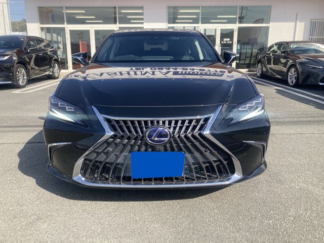 TOYOTA LEXUS ES300H 2022 Image 31