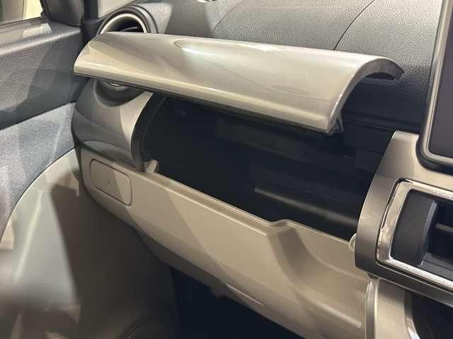 DAIHATSU CAST STYLE 2019 Image 31