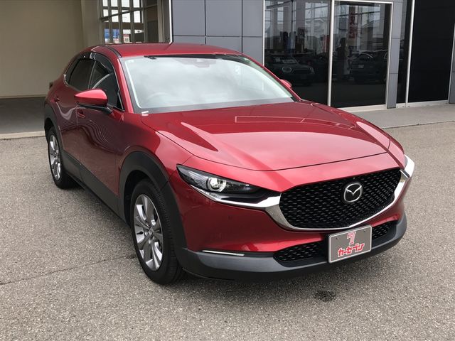MAZDA CX-30 2021 Image 31