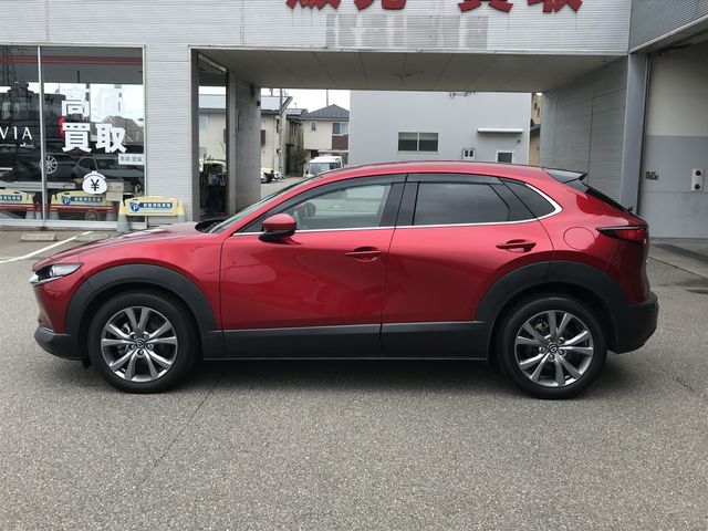 MAZDA CX-30 2021 Image 31