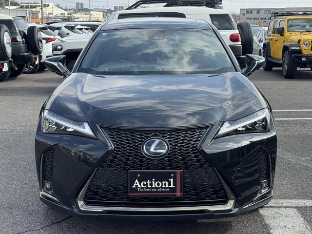 TOYOTA LEXUS UX250H 2019 Image 31