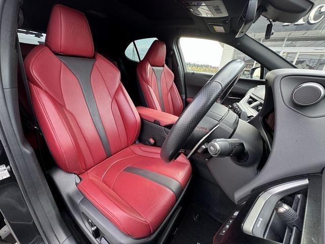 TOYOTA LEXUS UX250H 2019 Image 31