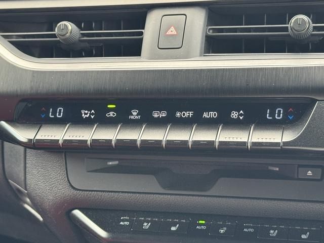 TOYOTA LEXUS UX250H 2019 Image 31