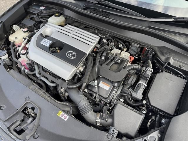 TOYOTA LEXUS UX250H 2019 Image 31