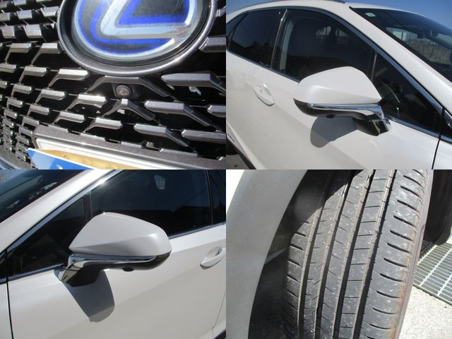 TOYOTA LEXUS RX450HL AWD 2019 Image 31