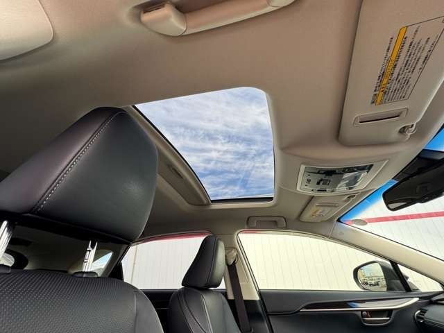 TOYOTA LEXUS NX300H AWD 2015 Image 31