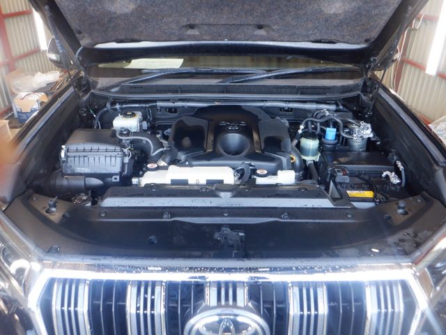 TOYOTA LANDCRUISER PRADO 2019 Image 31