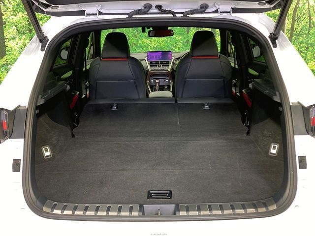 TOYOTA LEXUS NX300 2019 Image 31