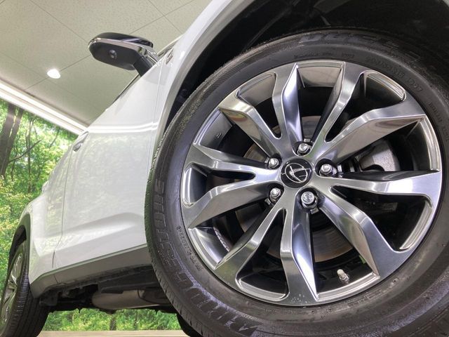 TOYOTA LEXUS NX300 2019 Image 31