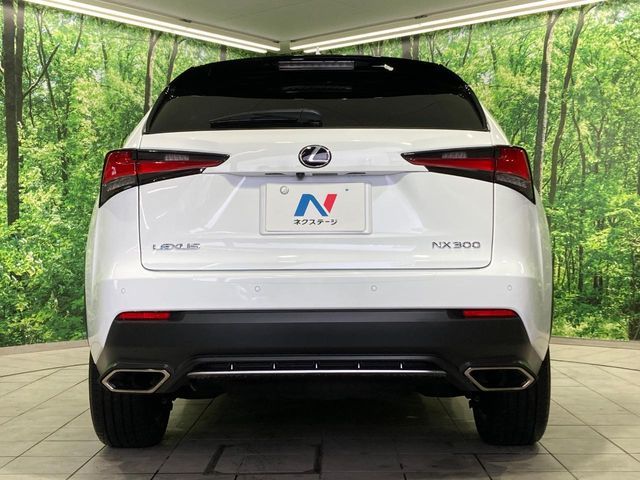 TOYOTA LEXUS NX300 2019 Image 31