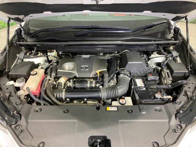 TOYOTA LEXUS NX300 2019 Image 31