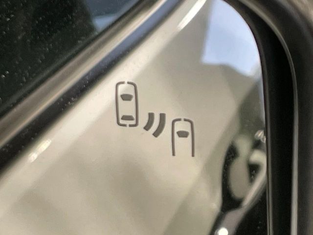 TOYOTA LANDCRUISER 250 2024 Image 31