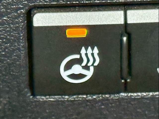 TOYOTA LEXUS NX300H 2019 Image 31