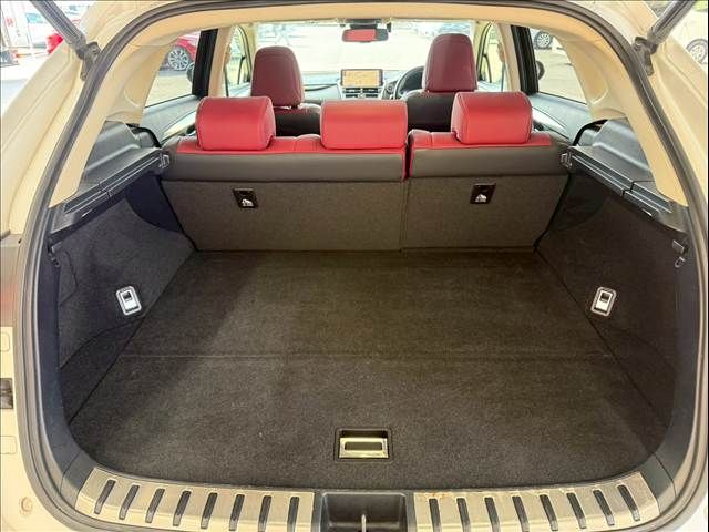 TOYOTA LEXUS NX300H 2019 Image 31