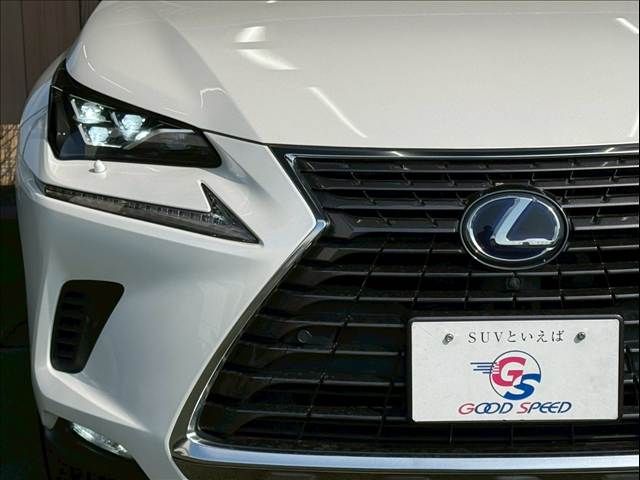 TOYOTA LEXUS NX300H 2019 Image 31