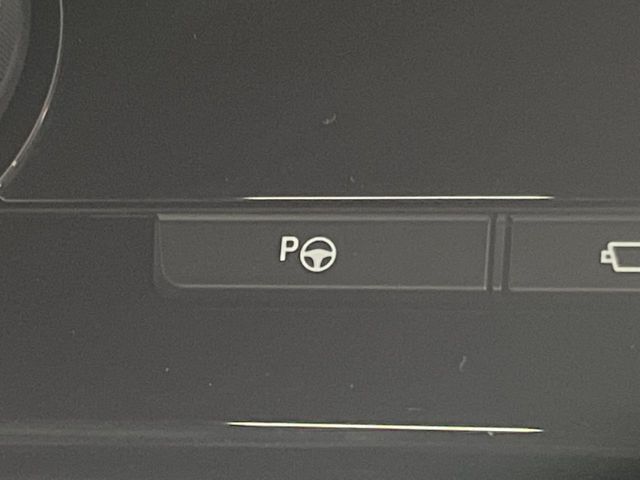 TOYOTA ALPHARD HYBRID 2024 Image 31