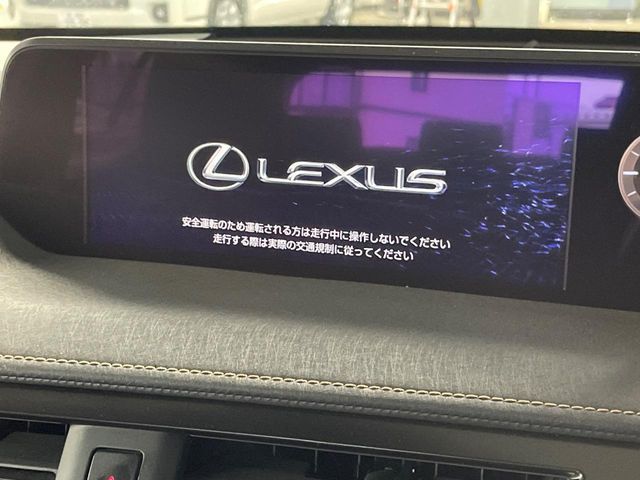 TOYOTA LEXUS UX250H 2021 Image 31