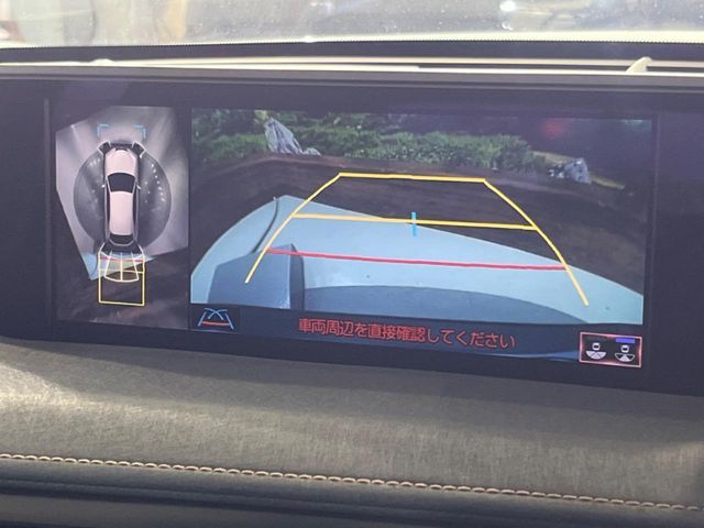 TOYOTA LEXUS UX250H 2021 Image 31