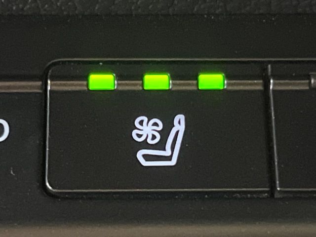 TOYOTA LEXUS UX250H 2021 Image 31