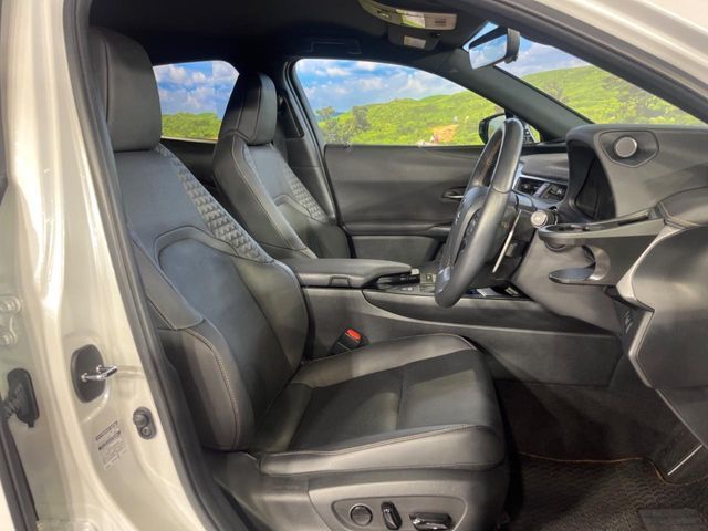 TOYOTA LEXUS UX250H 2021 Image 31