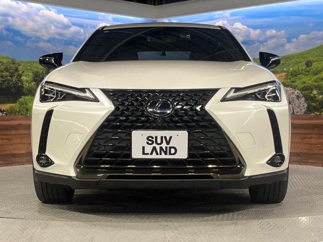 TOYOTA LEXUS UX250H 2021 Image 31