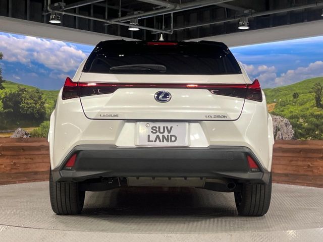 TOYOTA LEXUS UX250H 2021 Image 31