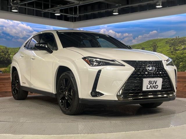 TOYOTA LEXUS UX250H 2021 Image 31