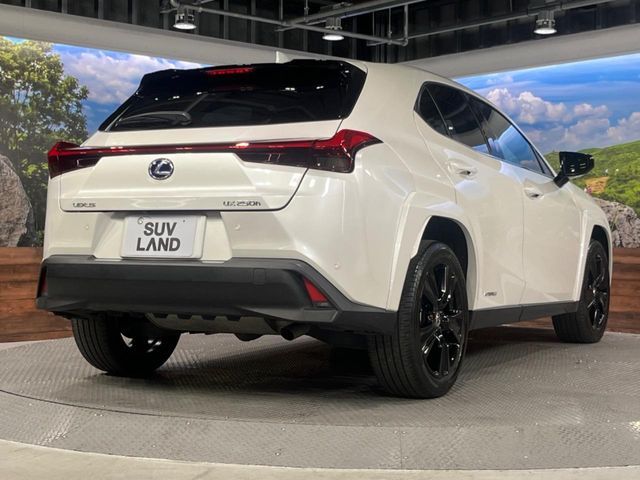 TOYOTA LEXUS UX250H 2021 Image 31