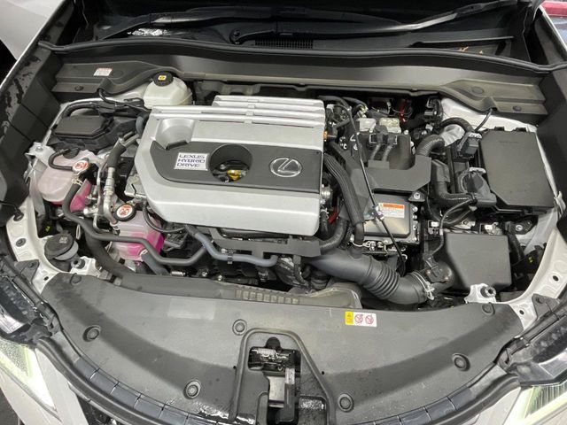 TOYOTA LEXUS UX250H 2021 Image 31