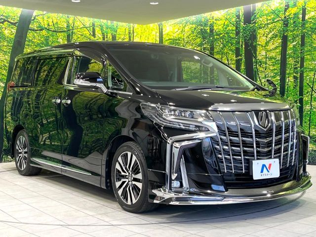 TOYOTA ALPHARD 2019 Image 31
