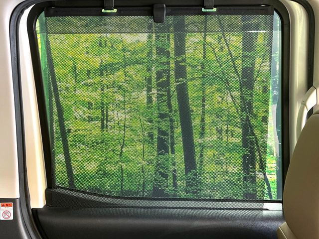 NISSAN DAYZ ROOX 2018 Image 31