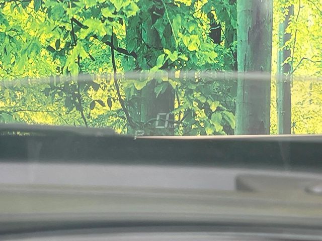 SUZUKI WAGON R 2019 Image 31