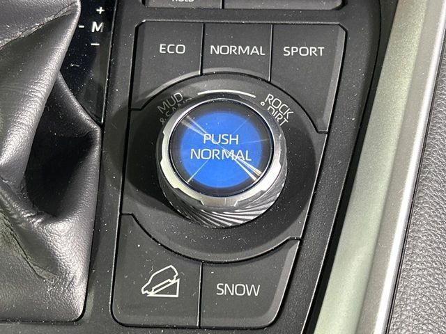 TOYOTA RAV4 4WD 2019 Image 31