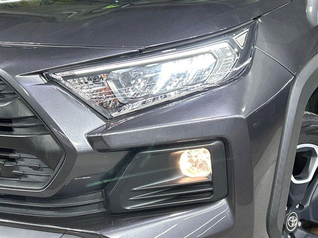 TOYOTA RAV4 4WD 2019 Image 31