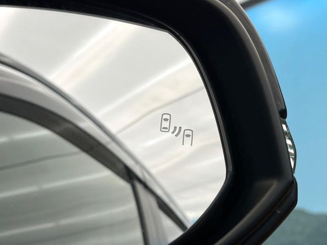 TOYOTA RAV4 4WD 2019 Image 31