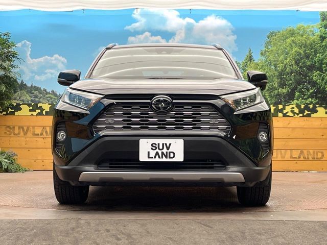 TOYOTA RAV4 4WD 2019 Image 31