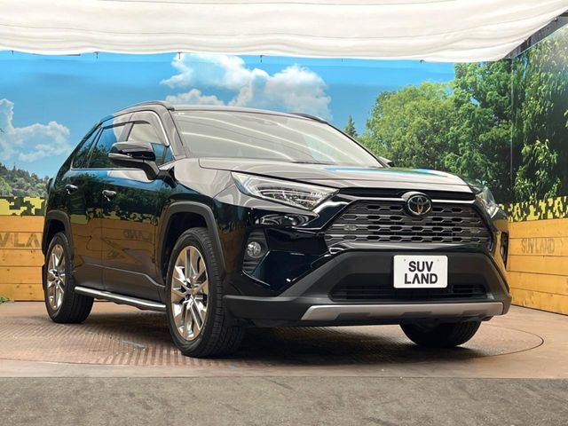 TOYOTA RAV4 4WD 2019 Image 31