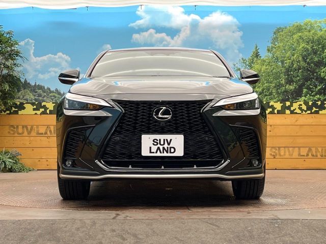 TOYOTA LEXUS NX350H 2022 Image 31