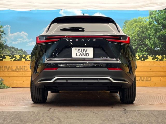 TOYOTA LEXUS NX350H 2022 Image 31