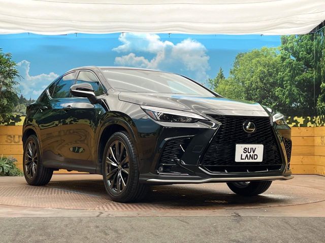 TOYOTA LEXUS NX350H 2022 Image 31