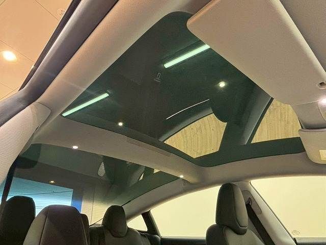 TESLA MODEL 3 2024 Image 31